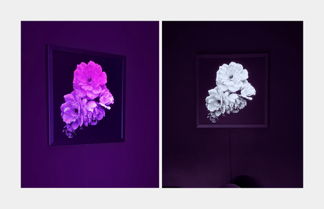 Flower Led Light Panel