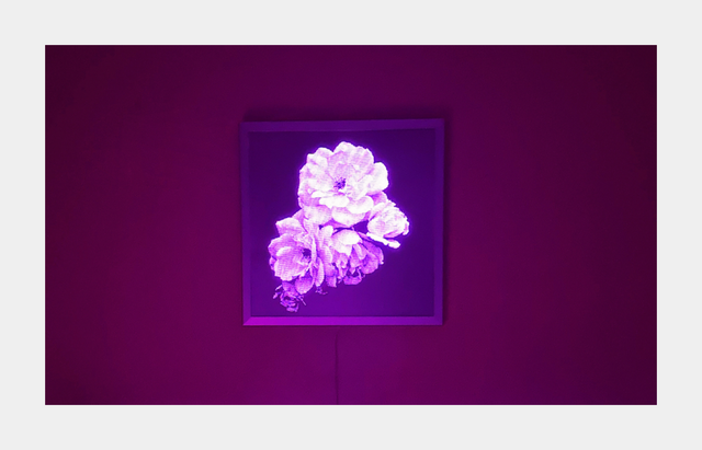 Flower Led Light Panel