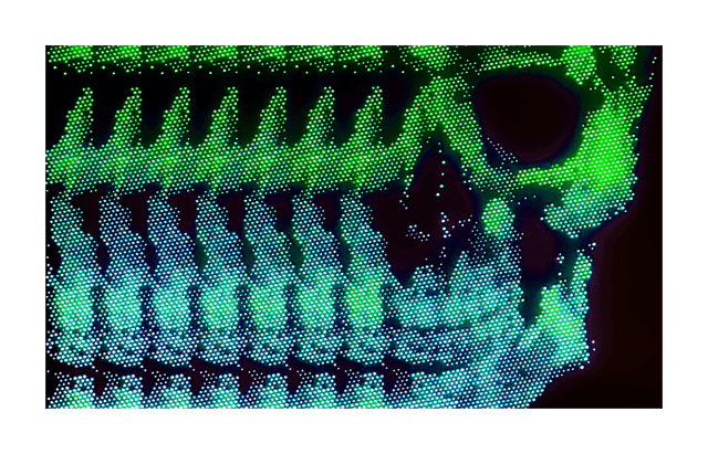 Scull Led Light Panel - IllumiArts